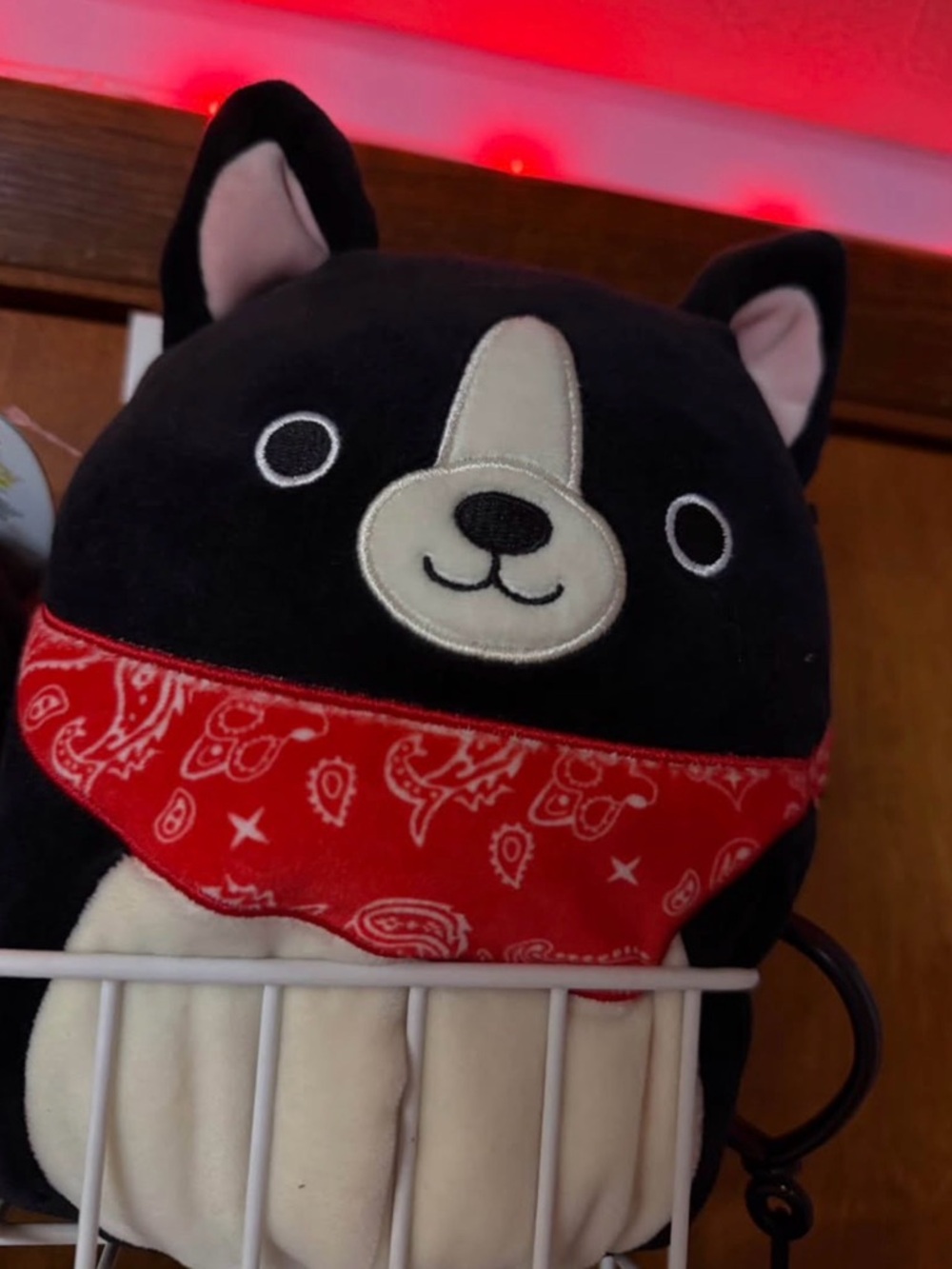 Squishmallow Teddy the Dog